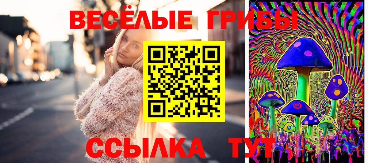 Псилоцибиновые грибы MAGIC MUSHROOMS Новотроицк