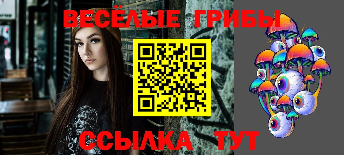 Псилоцибиновые грибы мицелий  Псилоцибиновые грибы MAGIC MUSHROOMS  Вход с VPN  Новотроицк 